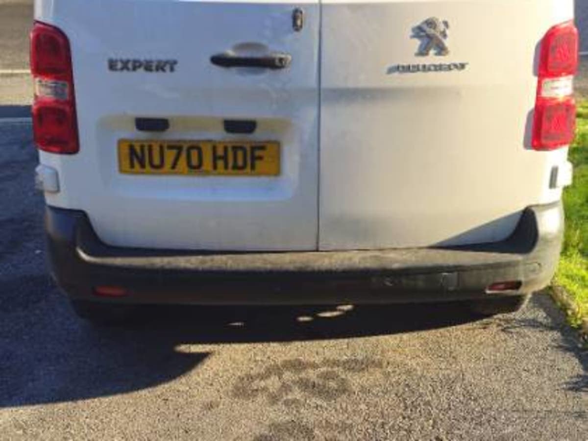 PEUGEOT EXPERT PROFESSIONAL L1 BLUEHDI - Image 1