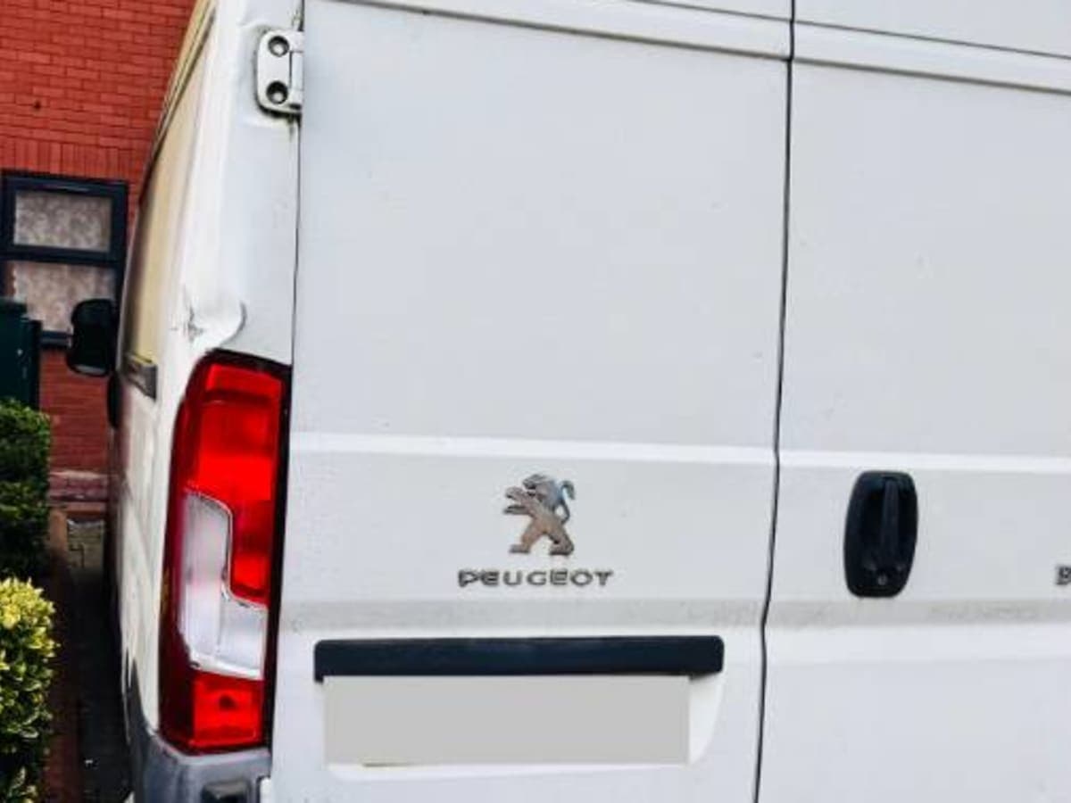 PEUGEOT BOXER 335 PROFESSIONAL L3H2HDI - Image 1