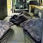 2019 Volkswagen T28 (T6) Trendline TDI Campervan - Thumbnail 10
