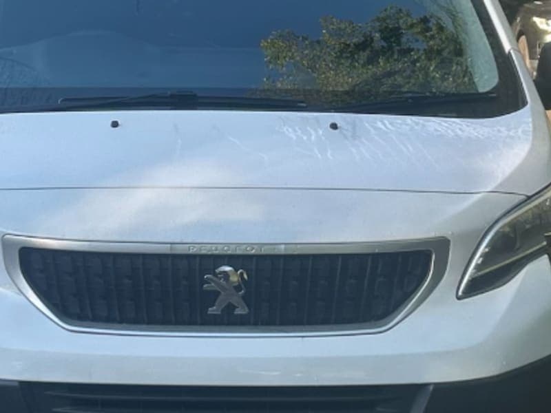 Dependable workhorse!